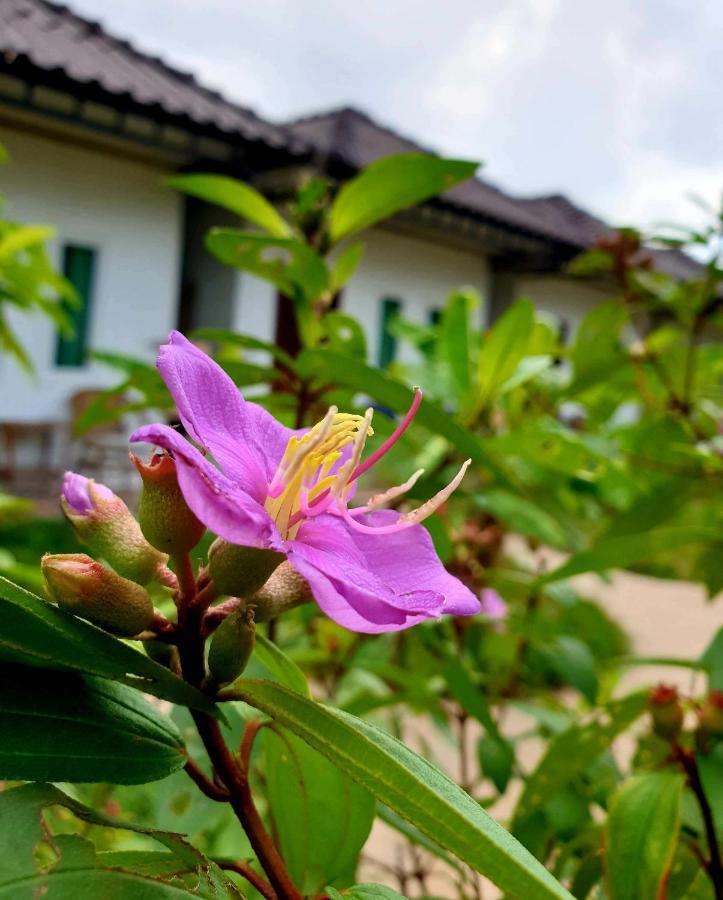 Lakshmi Bungalow Sihanoukville Exteriér fotografie